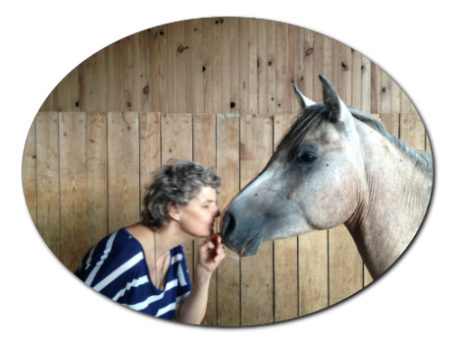 Yalal und Hayati beschnuppern sich, Köpfe zusammen